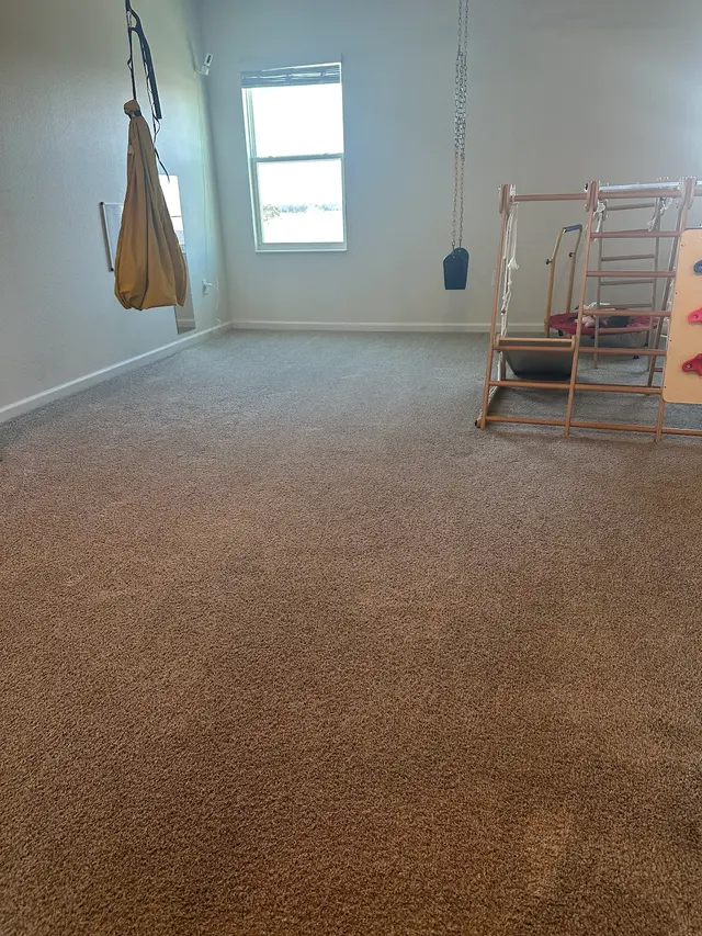 Customer photo of work by Precision Pro Dry Carpet and Tiles Cleaning Service, from Sasha Ruiz's review