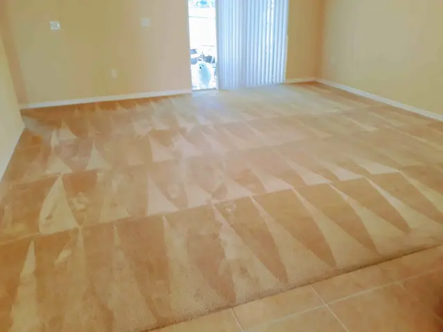 Precision Pro Dry Carpet and Tiles Cleaning Service — photo from the business 10