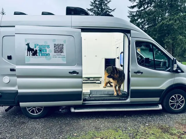 Paws On Time Mobile Grooming — photo from the business 12