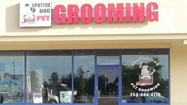 Spotted Dog Pet Grooming — photo from the business 1