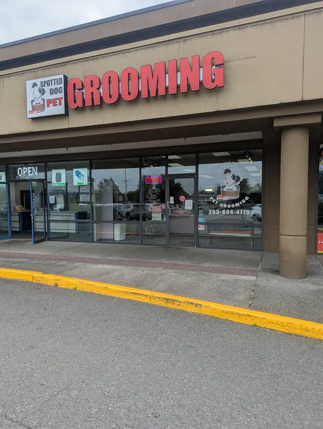Spotted Dog Pet Grooming — customer photo 2