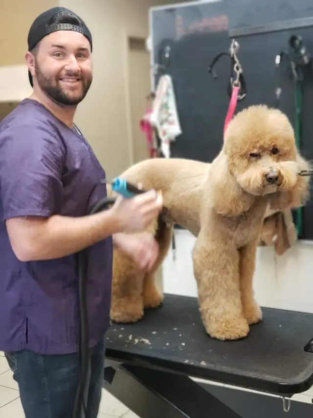 Spotted Dog Pet Grooming — photo from the business 3