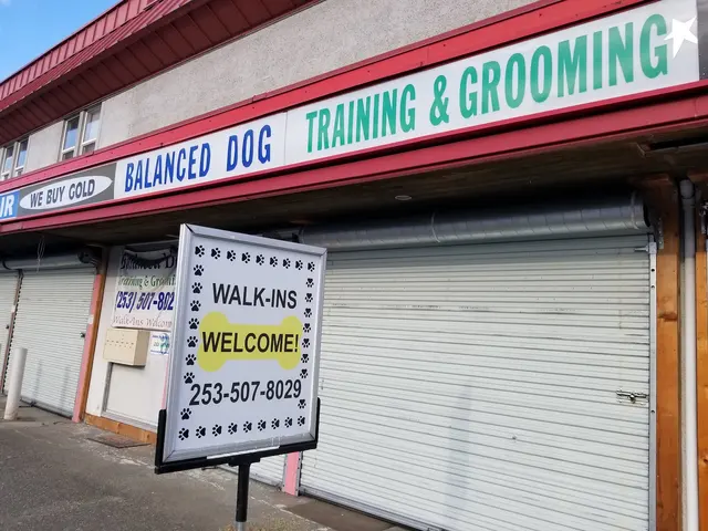 Lesha's Dog & Cat Grooming — customer photo 8