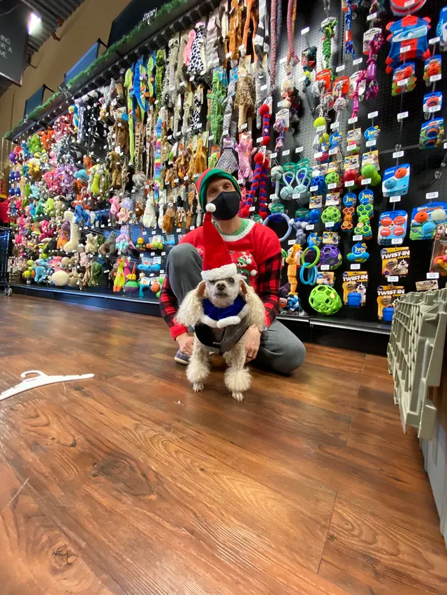 Hollywood Feed — customer photo 9