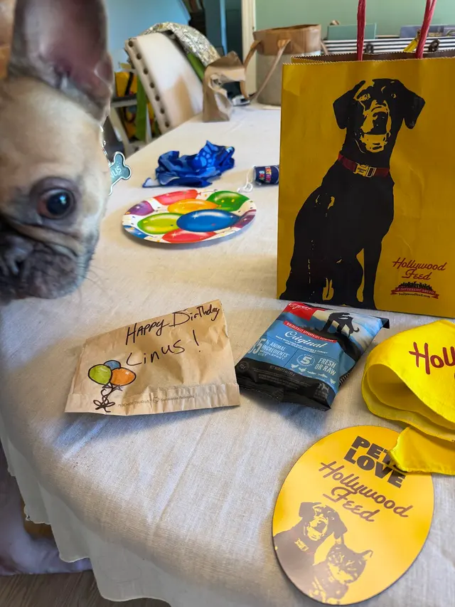 Hollywood Feed — customer photo 5