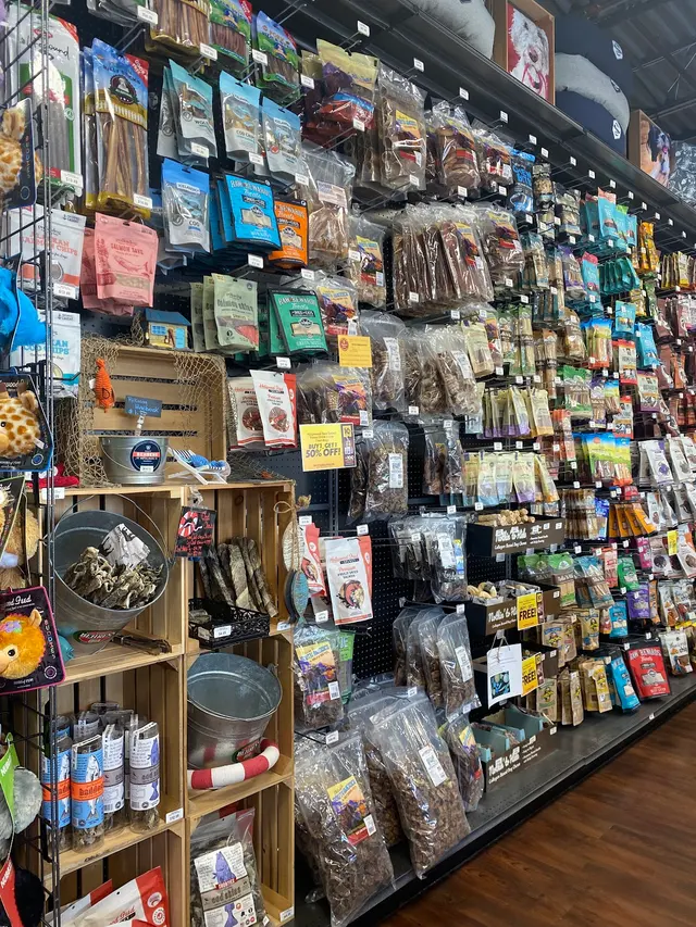 Hollywood Feed — photo from the business 3