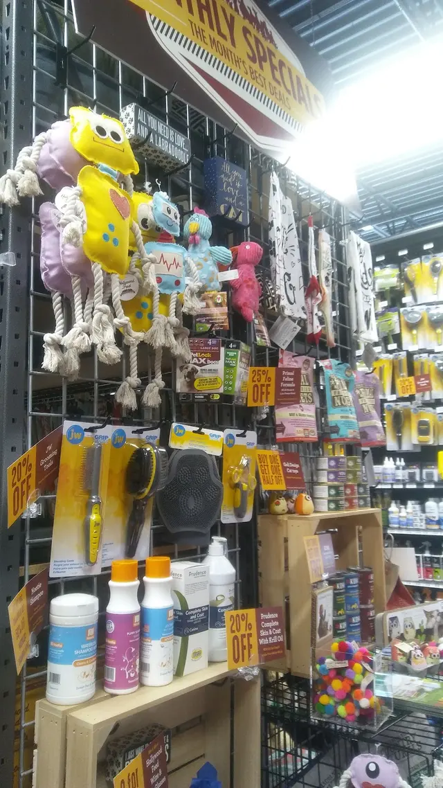 Hollywood Feed — customer photo 11