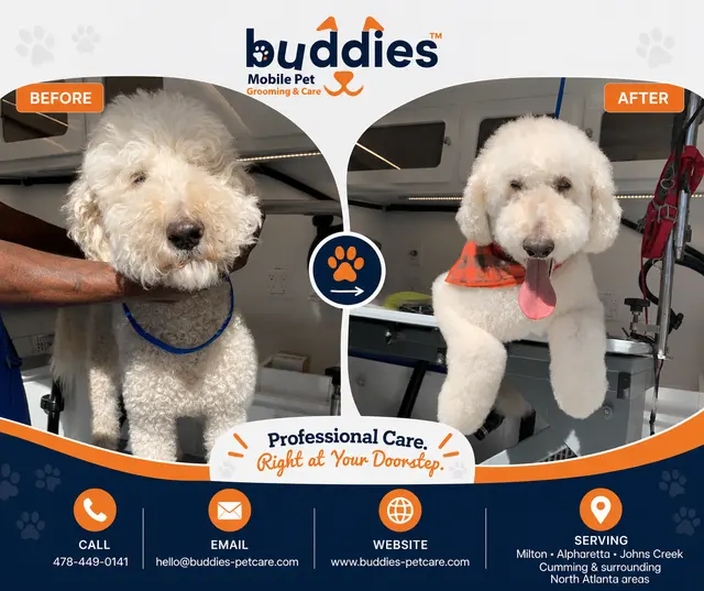 Buddies Mobile Pet Grooming and Care — photo from the business 3