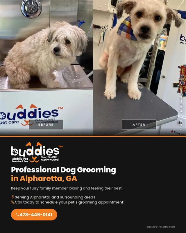 Buddies Mobile Pet Grooming and Care — photo from the business 6