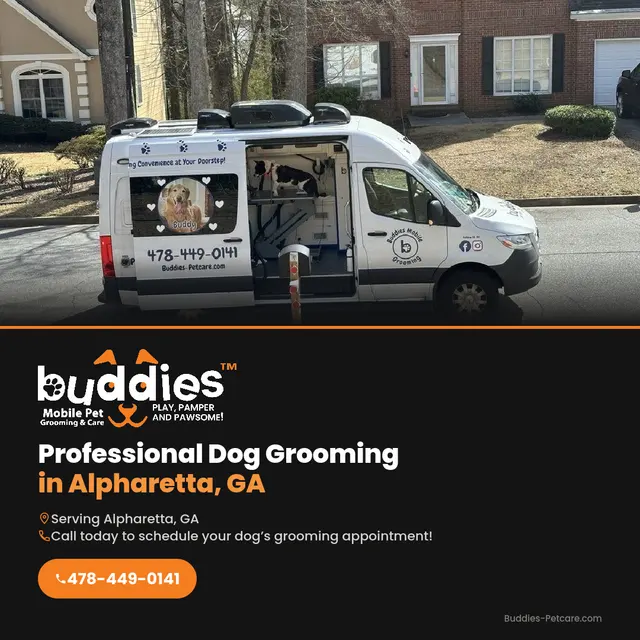 Buddies Mobile Pet Grooming and Care — photo from the business 5