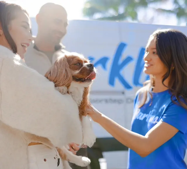 Barkbus Mobile Dog Grooming Atlanta — photo from the business 6