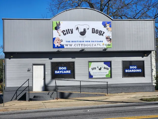 City Dogz ATL — photo from the business 10