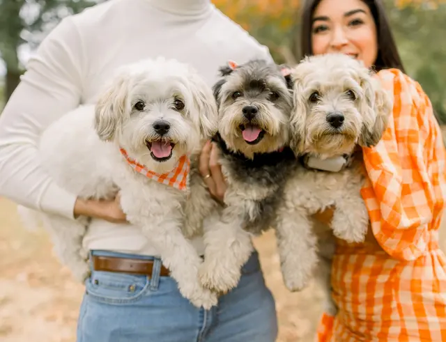 Robin's Groomingdales Dog Grooming Salon — customer photo 11