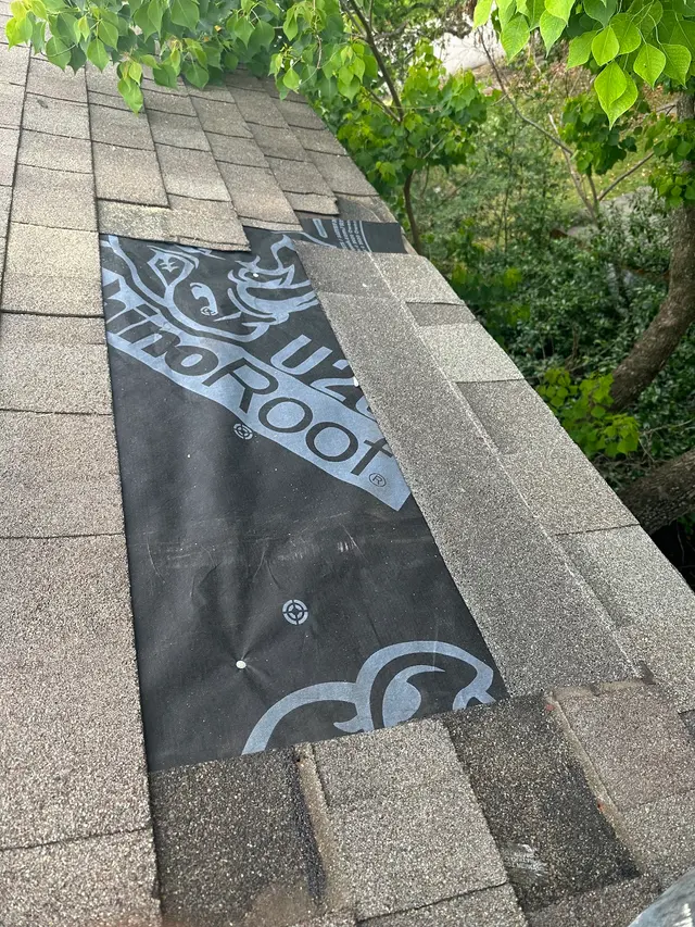 Customer photo from Alan's review