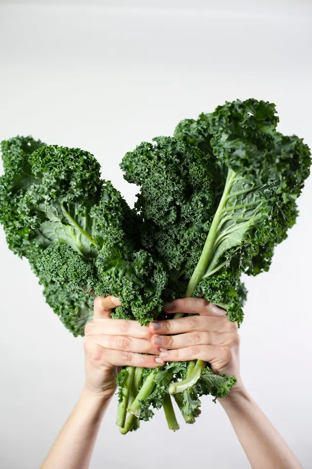 Health Loft Nutrition — photo from the business 7