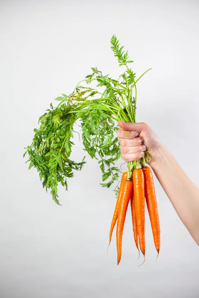 Health Loft Nutrition — photo from the business 5