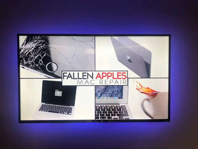 Fallen Apples Mac Repair — photo from the business 6