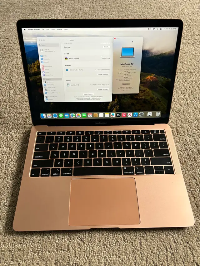 The-iGuru (Apple Computers, Cell Phones and Electronics) — photo from the business 8