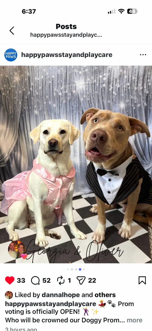 Customer photo of work by Happy Paws Stay and Playcare, from Deborah Coursey's review