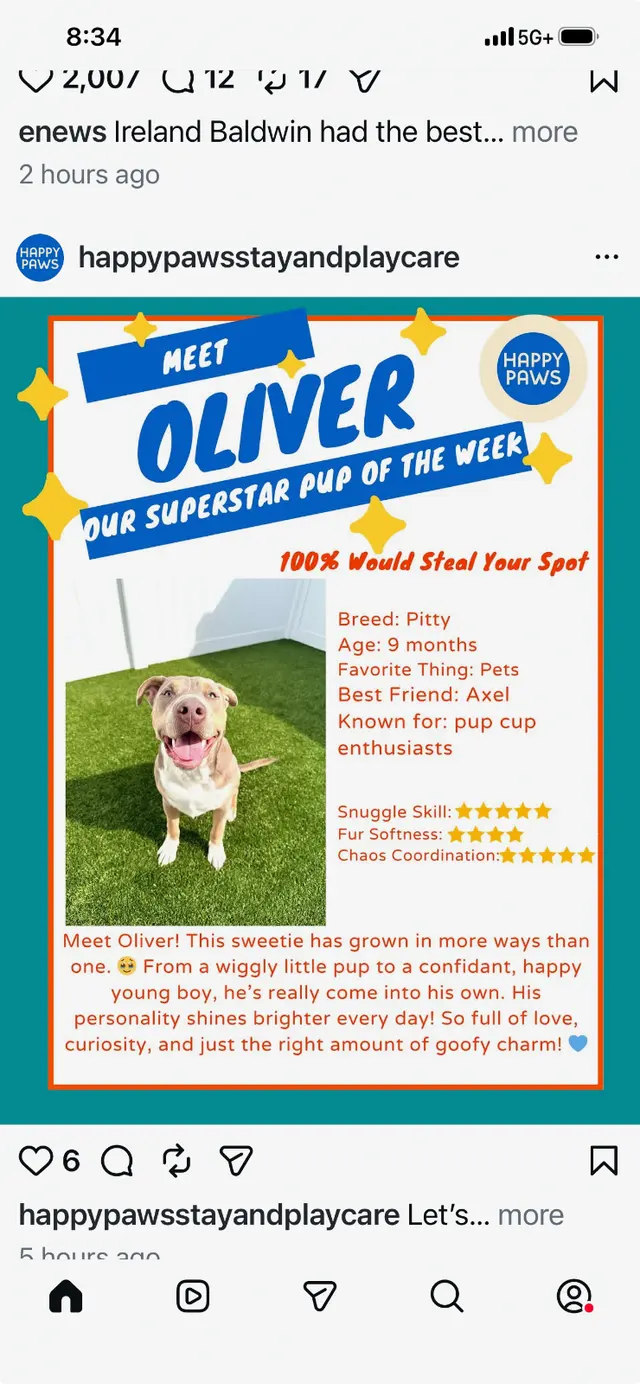 Customer photo of work by Happy Paws Stay and Playcare, from Deborah Coursey's review