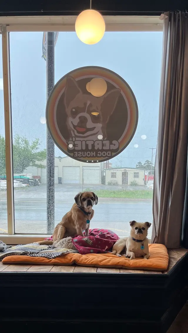 Buddy’s Doghouse — customer photo 6