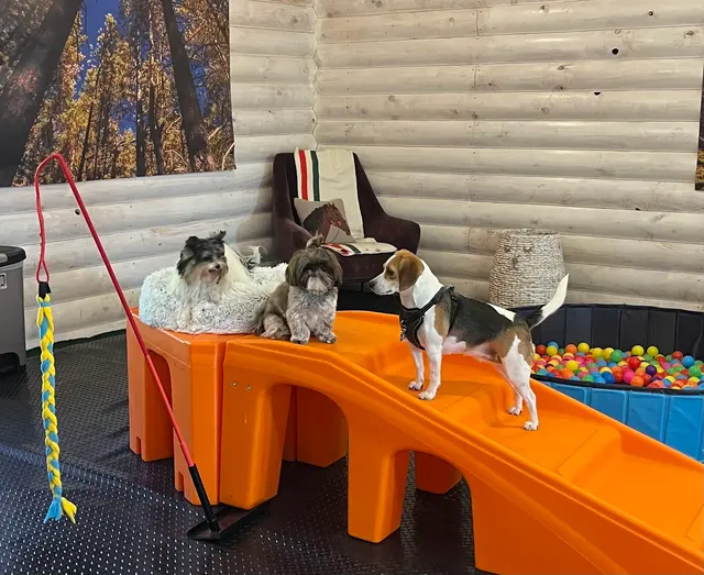 Buddy’s Doghouse — customer photo 10