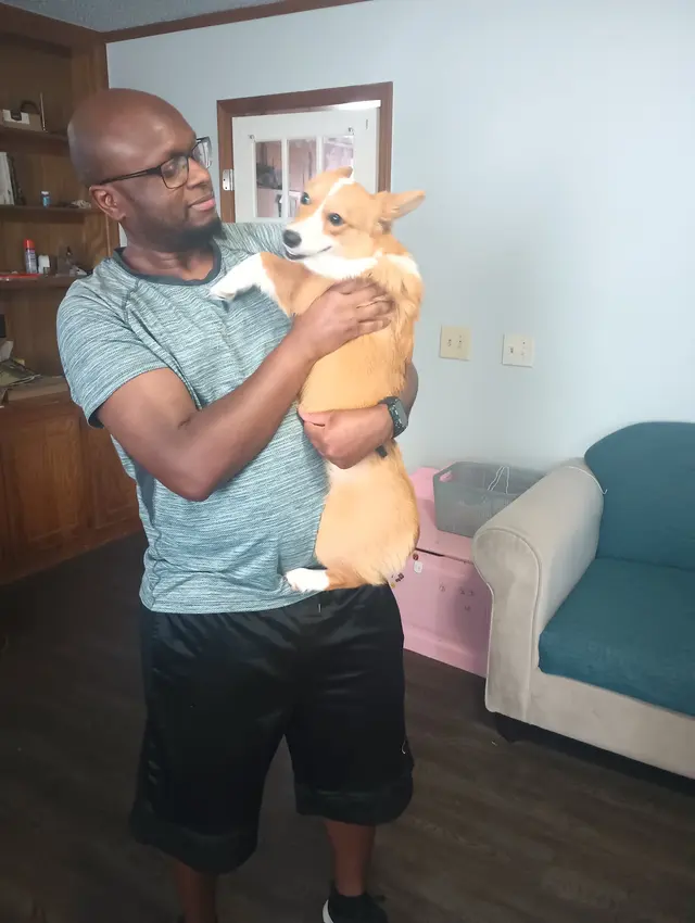 Paw sitive Pets Staycation - Boarding and Daycare LLC — photo from the business 6