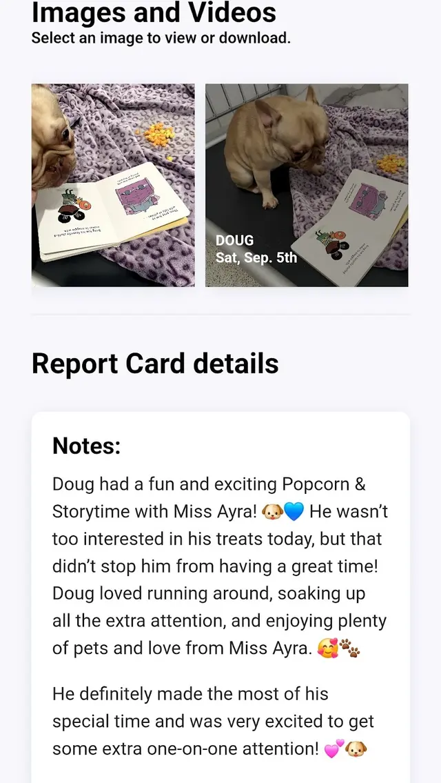 Customer photo of work by Pawparazzi K9 Enrichment Resort, from T. L. M's review