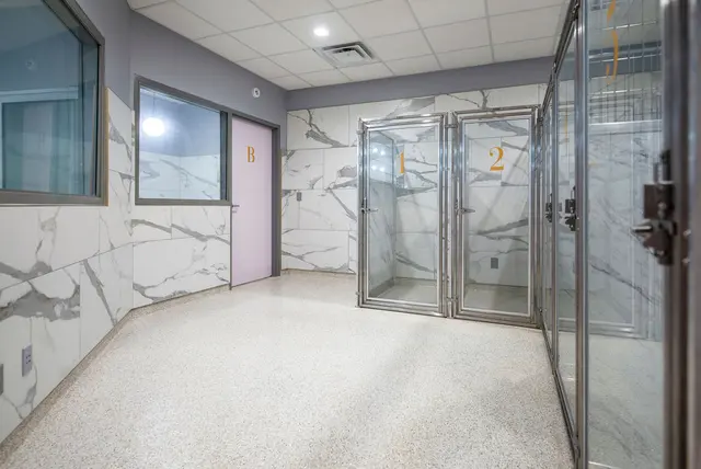 Pawparazzi K9 Enrichment Resort — photo from the business 9