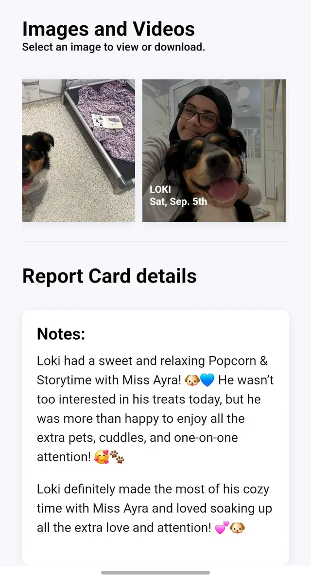 Customer photo of work by Pawparazzi K9 Enrichment Resort, from T. L. M's review