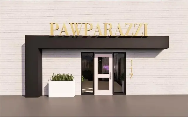 Pawparazzi K9 Enrichment Resort — photo from the business 1
