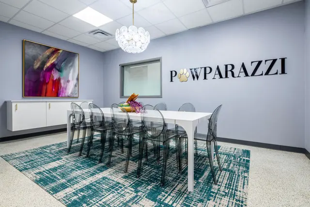 Pawparazzi K9 Enrichment Resort — photo from the business 4