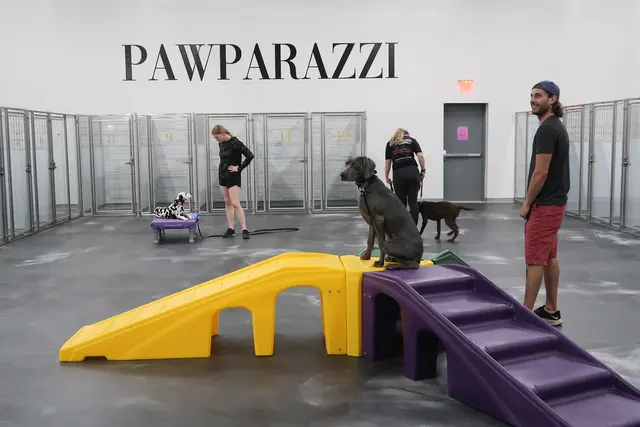 Pawparazzi K9 Enrichment Resort — photo from the business 8