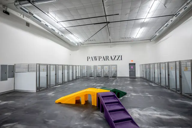 Pawparazzi K9 Enrichment Resort — photo from the business 6