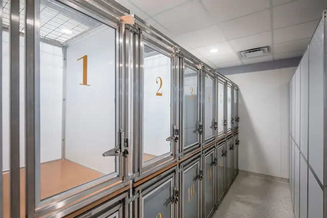 Pawparazzi K9 Enrichment Resort — photo from the business 7