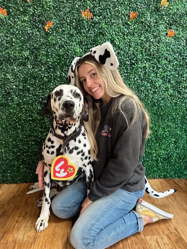 Vera's Posh Paws OKC — photo from the business 6