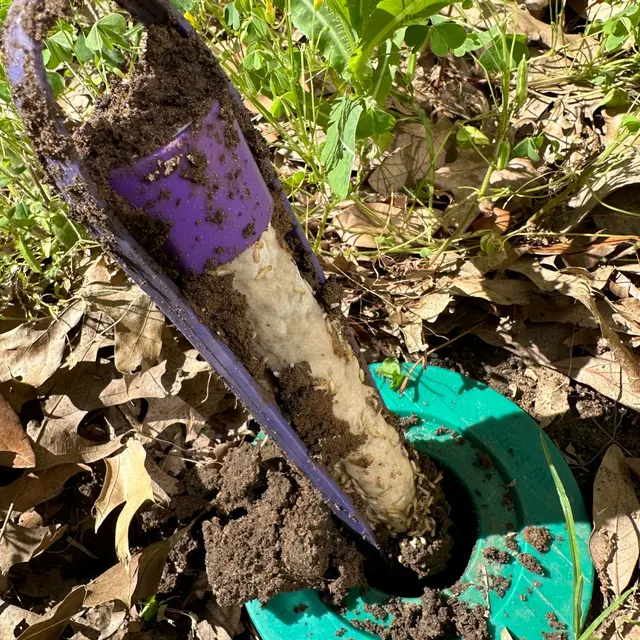 Forterra Pest Control — photo from the business 9