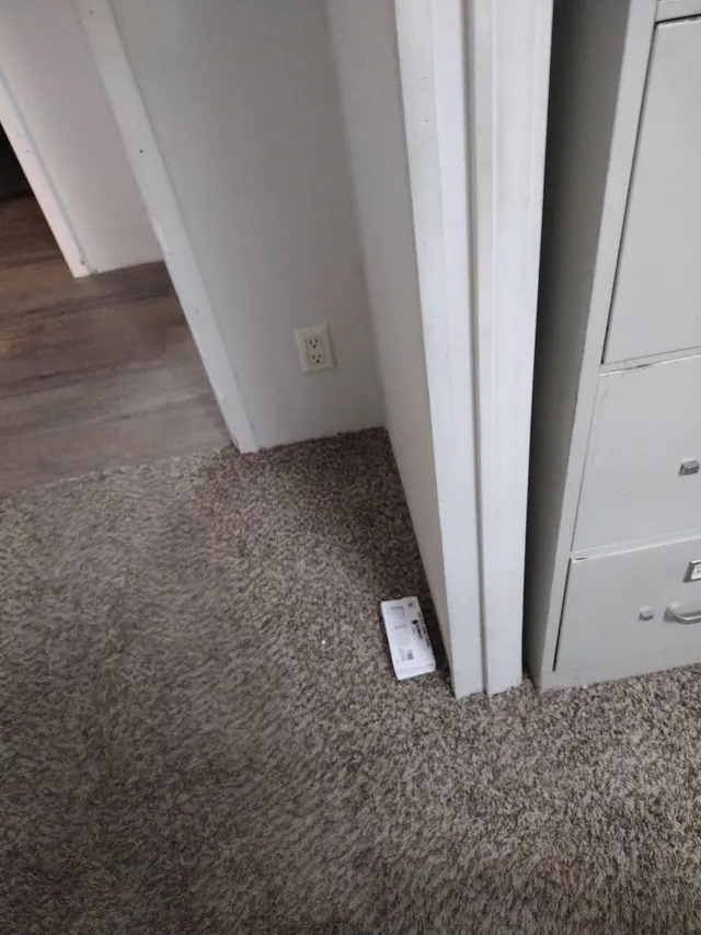 Customer photo from Teresa's review