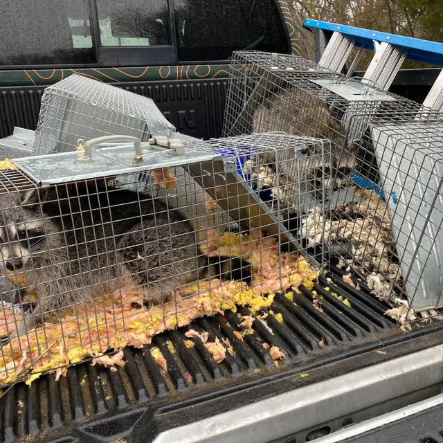 Forterra Pest Control — photo from the business 8