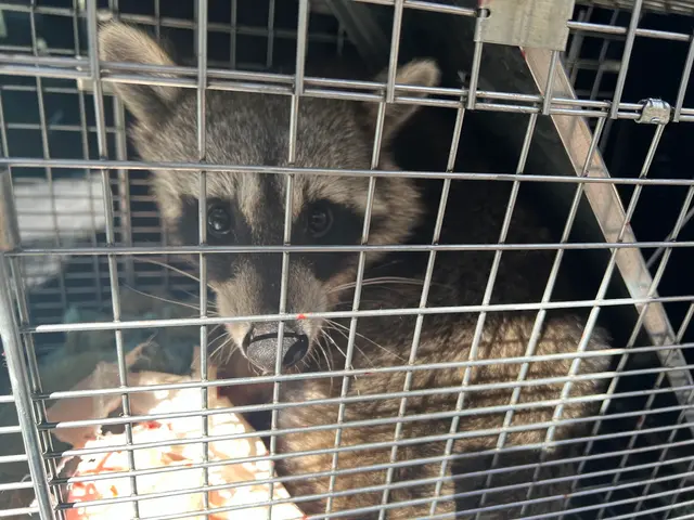 Forterra Pest Control — photo from the business 4