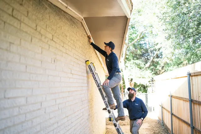 Haven Pest Solutions — photo from the business 9