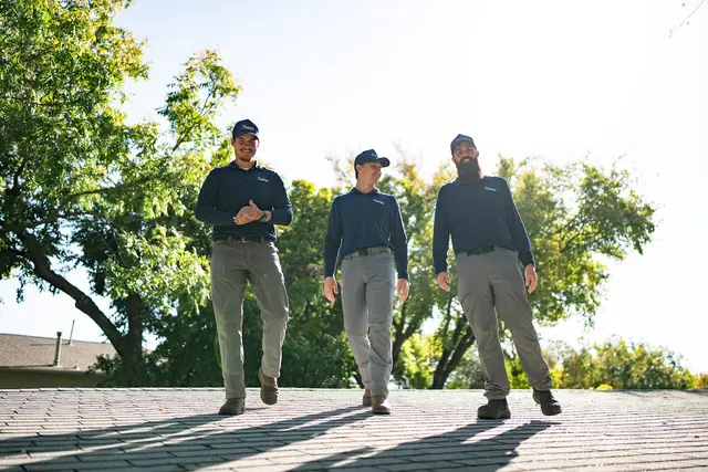 Haven Pest Solutions — photo from the business 5