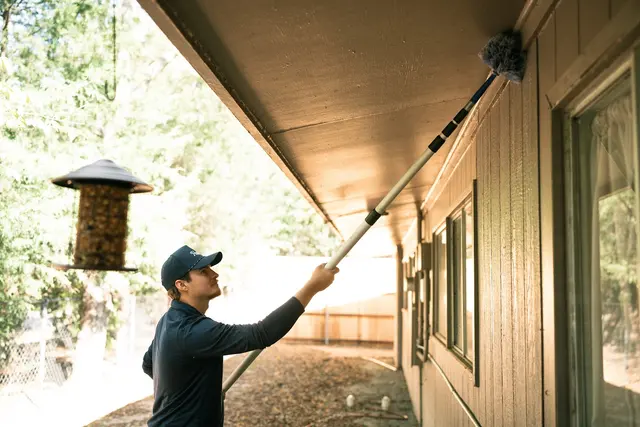 Haven Pest Solutions — photo from the business 3