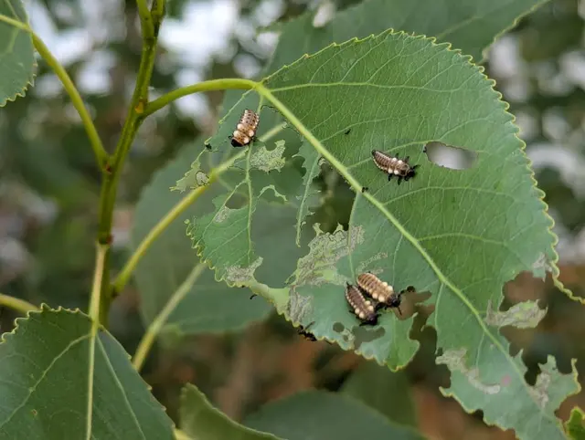 Berrett Pest Control — photo from the business 9