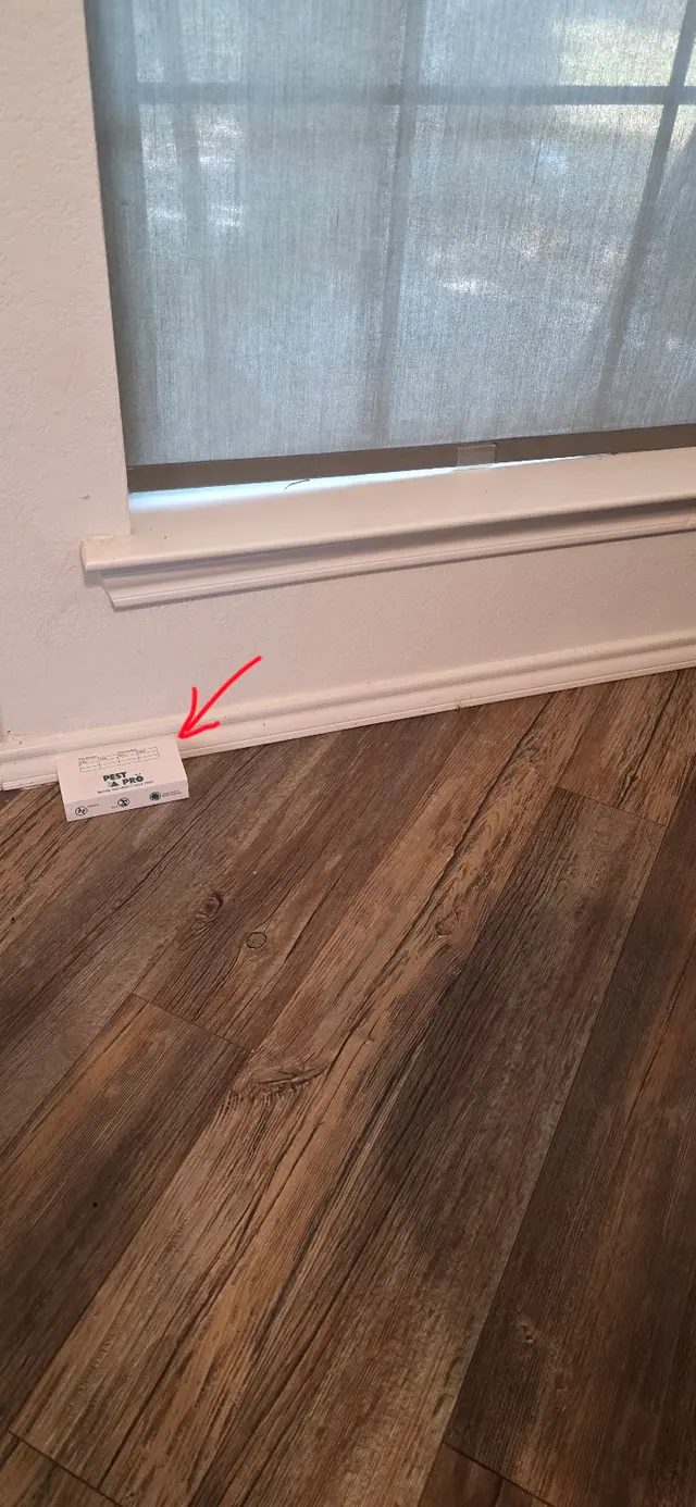 Customer photo from SHANE's review