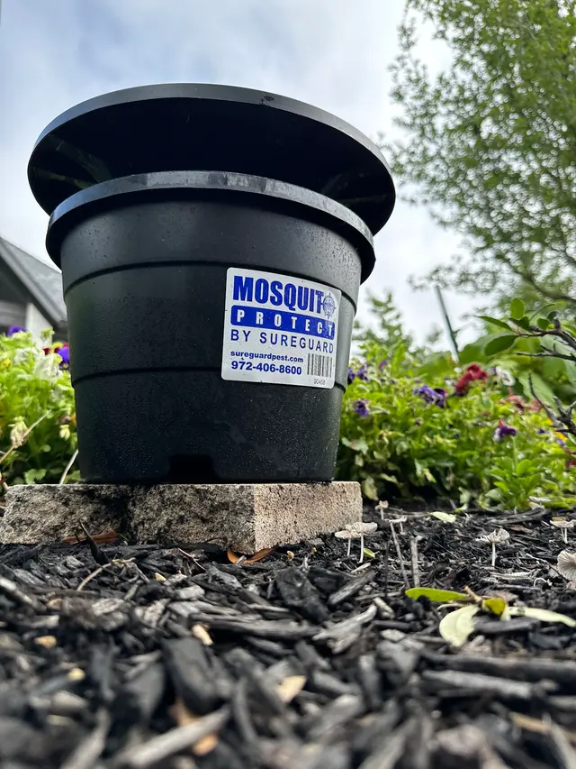 Sureguard Lawn & Pest — photo from the business 6