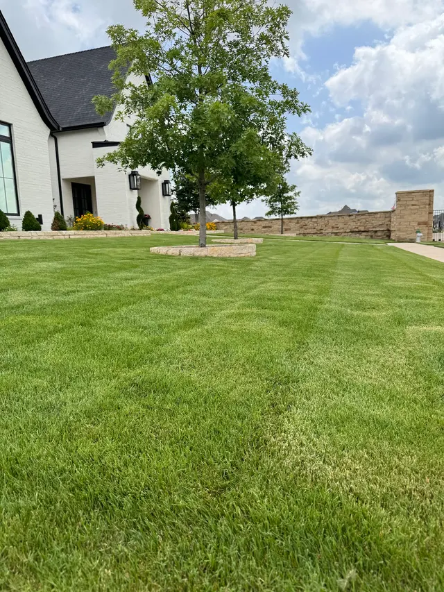 Sureguard Lawn & Pest — photo from the business 1