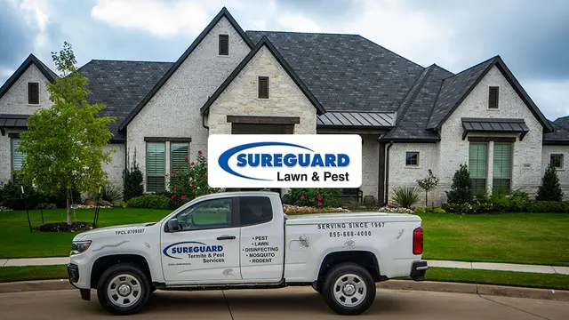 Sureguard Lawn & Pest — photo from the business 2