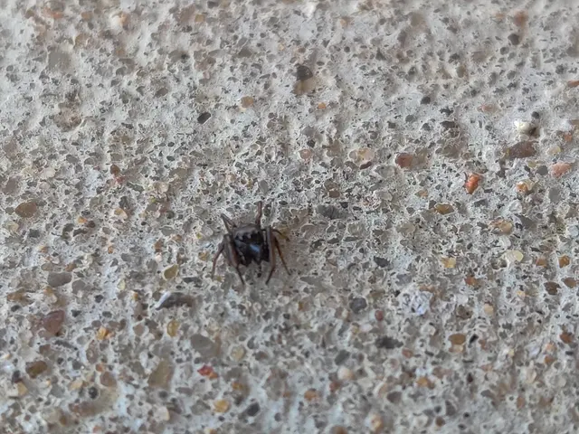EcoStar Pest Control: Pest Control Services Near Dallas & Carrollton, TX — customer photo 6
