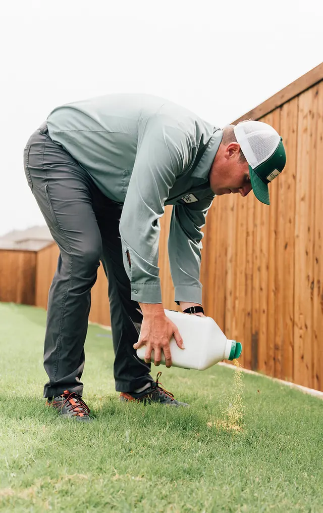 EcoStar Pest Control: Pest Control Services Near Dallas & Carrollton, TX — photo from the business 9